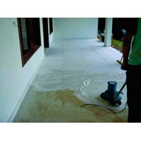TRATAMENTO LIMPEZA RASPAGEM PEDRA MORISCA